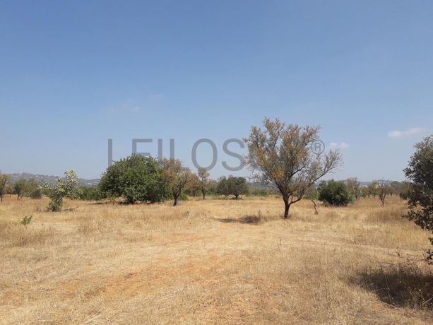 Terrenos · Campina de Baixo - S. Sebastião (Loulé)