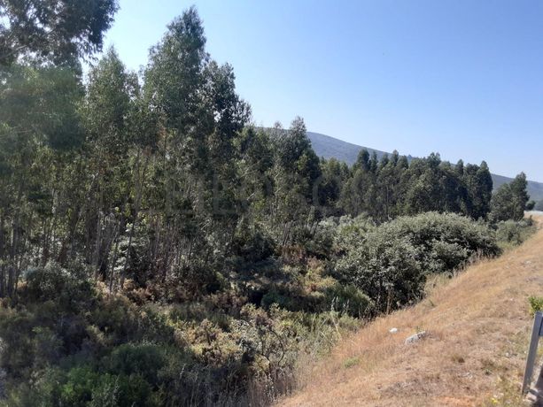 Quinhão Hereditário · Alcanena