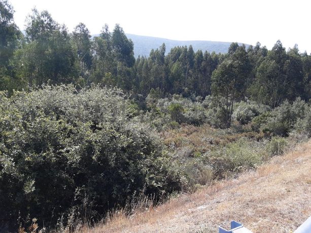 Quinhão Hereditário · Alcanena