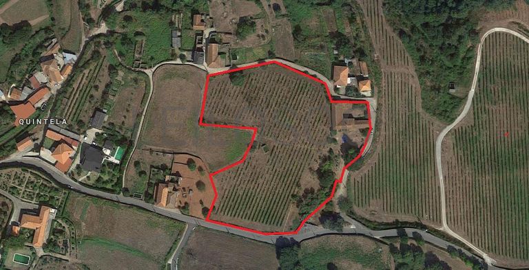 Quinta c/ Vinha · Valença