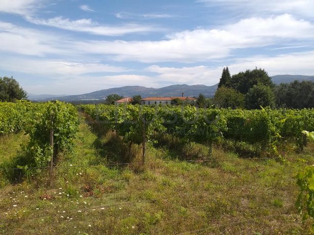 Quinta c/ Vinha · Valença