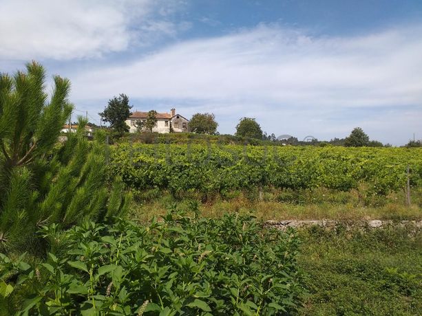 Quinta c/ Vinha · Valença
