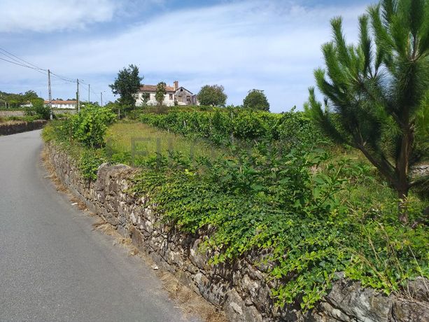 Quinta c/ Vinha · Valença