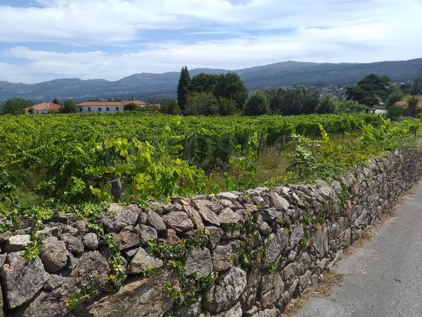 Quinta c/ Vinha · Valença