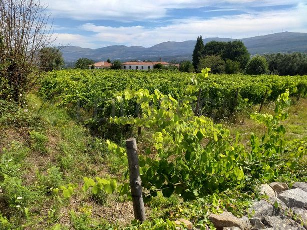 Quinta c/ Vinha · Valença