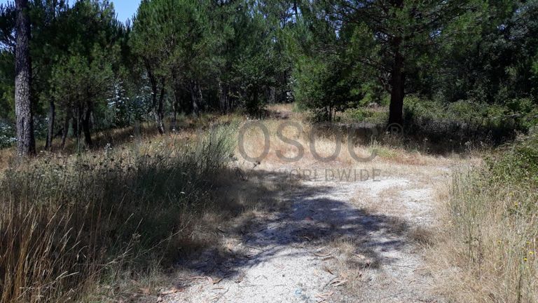 Quinhão Hereditário · Nelas - Viseu