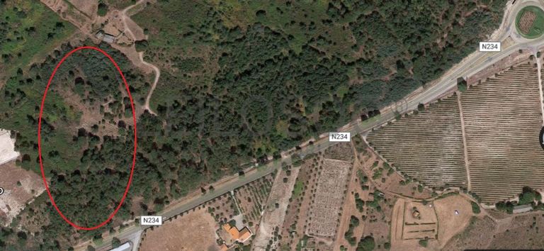 Quinhão Hereditário · Nelas - Viseu