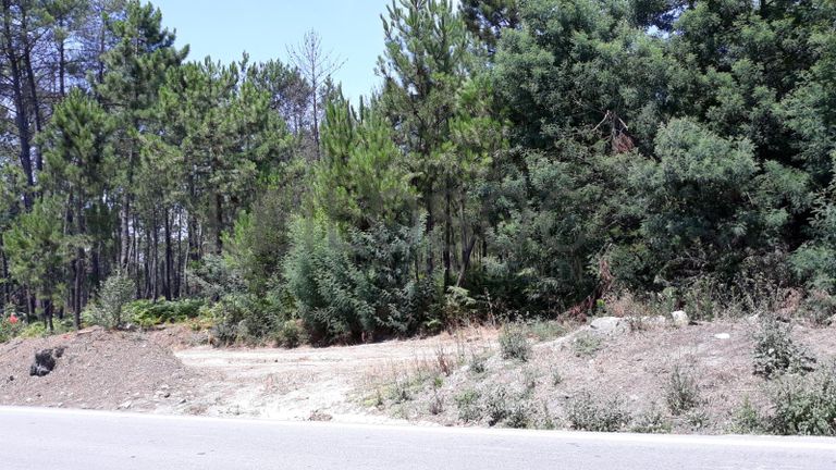 Quinhão Hereditário · Nelas - Viseu