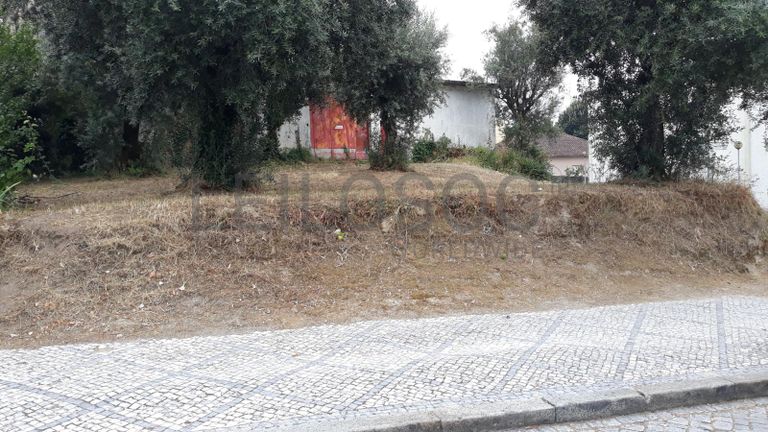 Quinhão Hereditário · Nelas - Viseu