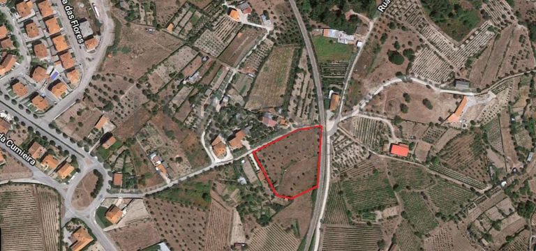 Quinhão Hereditário · Nelas - Viseu