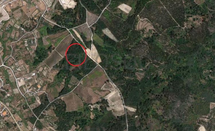 Quinhão Hereditário · Nelas - Viseu