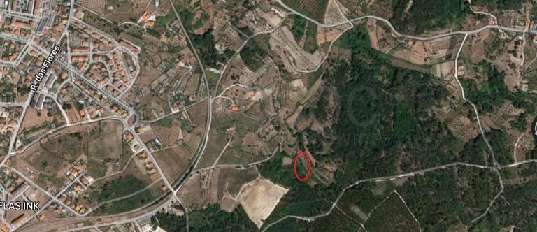 Quinhão Hereditário · Nelas - Viseu