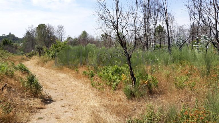 Quinhão Hereditário · Nelas - Viseu