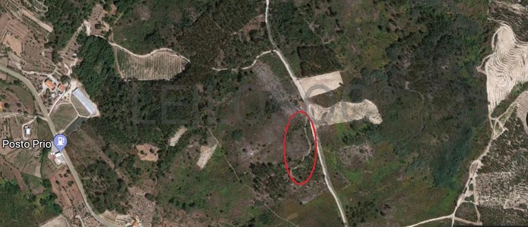 Quinhão Hereditário · Nelas - Viseu