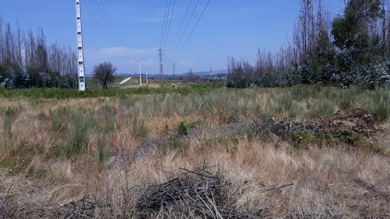 Quinhão Hereditário · Nelas - Viseu