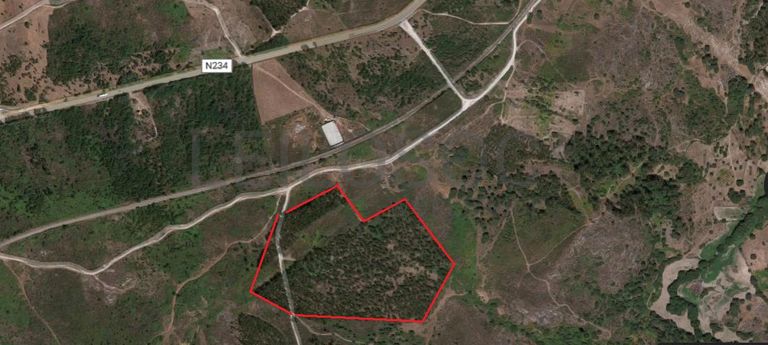 Quinhão Hereditário · Nelas - Viseu