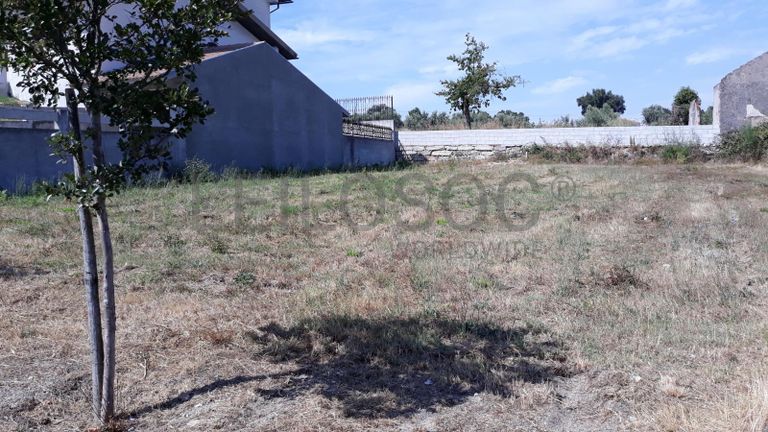 Quinhão Hereditário · Nelas - Viseu