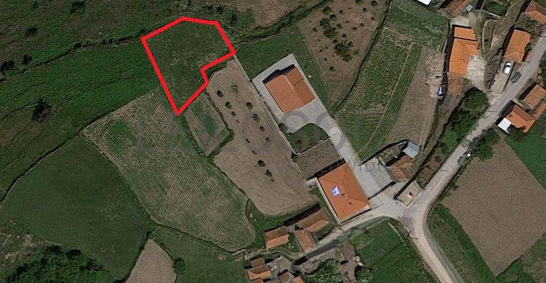 Raiz de Prédios Rústicos e Moradia · Cinfães