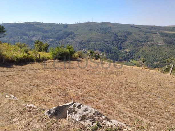 Raiz de Prédios Rústicos e Moradia · Cinfães