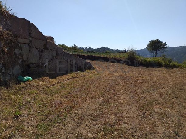 Raiz de Prédios Rústicos e Moradia · Cinfães