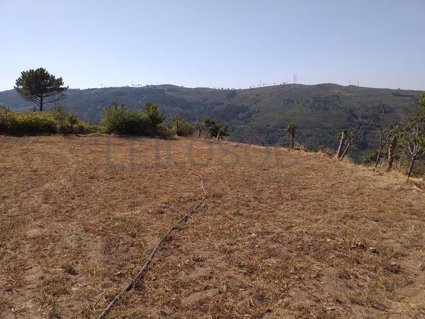 Raiz de Prédios Rústicos e Moradia · Cinfães