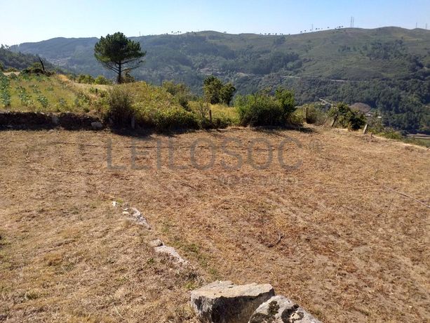 Raiz de Prédios Rústicos e Moradia · Cinfães