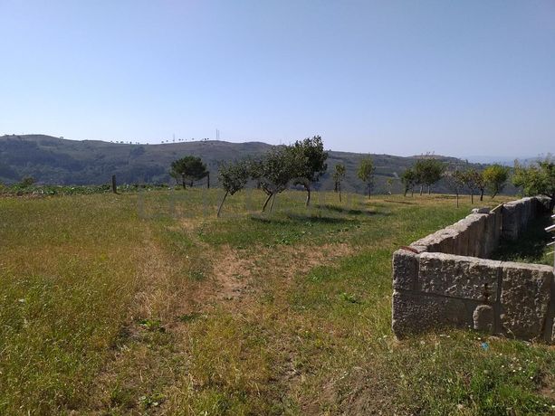 Raiz de Prédios Rústicos e Moradia · Cinfães