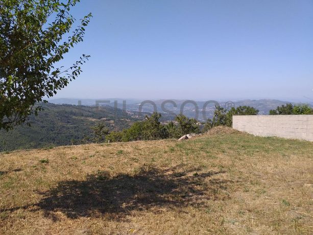 Raiz de Prédios Rústicos e Moradia · Cinfães