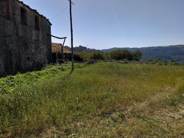 Raiz de Prédios Rústicos e Moradia · Cinfães