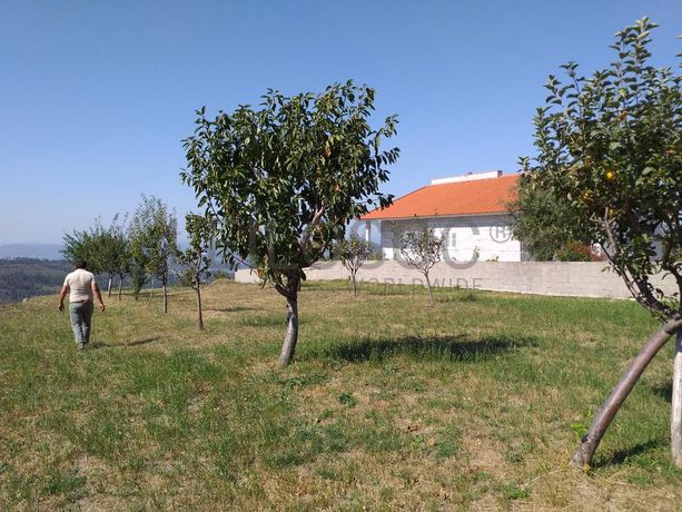 Raiz de Prédios Rústicos e Moradia · Cinfães