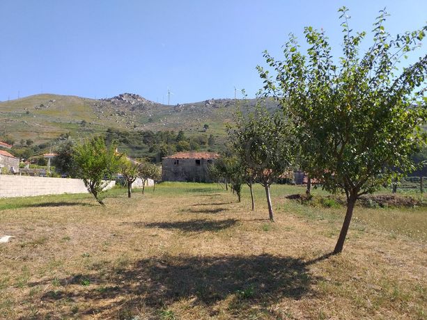 Raiz de Prédios Rústicos e Moradia · Cinfães