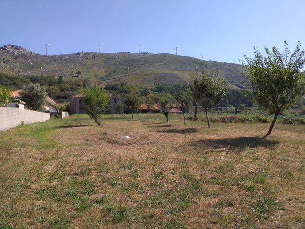 Raiz de Prédios Rústicos e Moradia · Cinfães