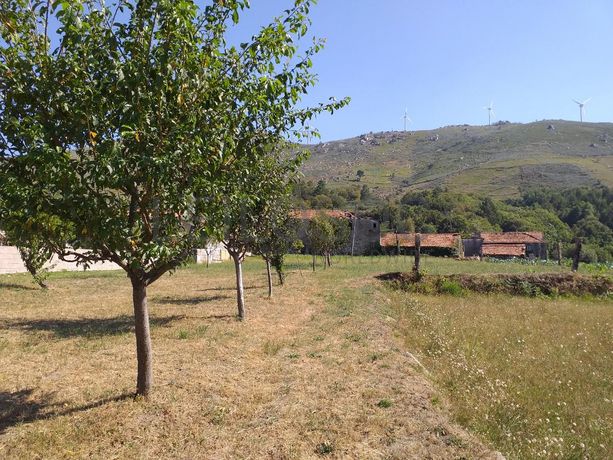 Raiz de Prédios Rústicos e Moradia · Cinfães