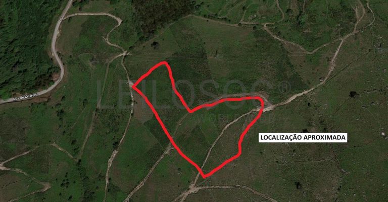 Raiz de Prédios Rústicos e Moradia · Cinfães