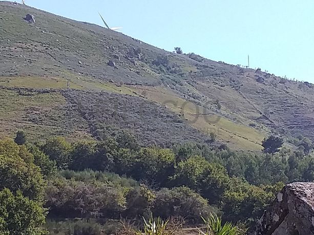 Raiz de Prédios Rústicos e Moradia · Cinfães