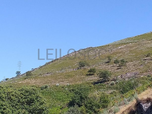 Raiz de Prédios Rústicos e Moradia · Cinfães