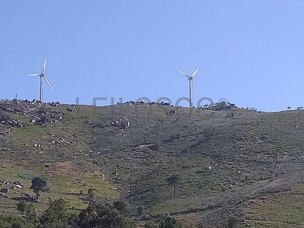 Raiz de Prédios Rústicos e Moradia · Cinfães