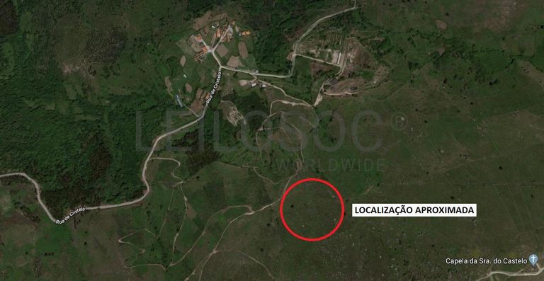 Raiz de Prédios Rústicos e Moradia · Cinfães