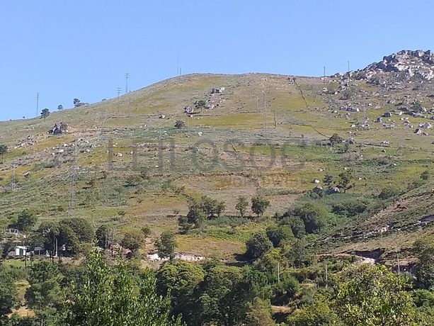 Raiz de Prédios Rústicos e Moradia · Cinfães