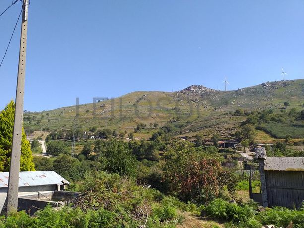 Raiz de Prédios Rústicos e Moradia · Cinfães