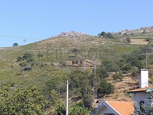 Raiz de Prédios Rústicos e Moradia · Cinfães