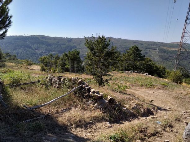 Raiz de Prédios Rústicos e Moradia · Cinfães