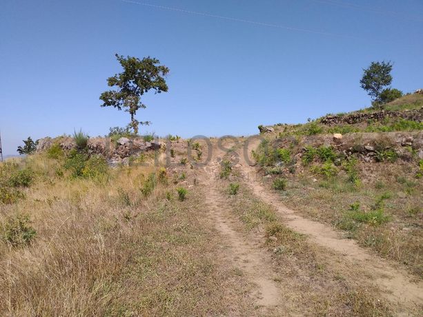 Raiz de Prédios Rústicos e Moradia · Cinfães