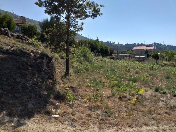 Raiz de Prédios Rústicos e Moradia · Cinfães