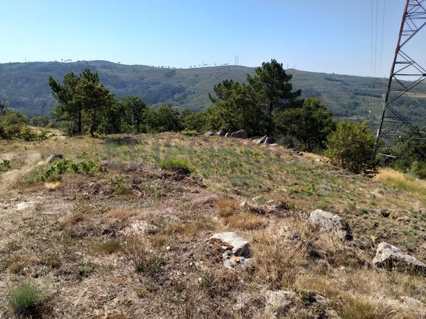 Raiz de Prédios Rústicos e Moradia · Cinfães