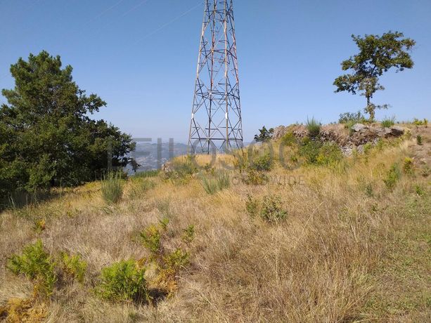 Raiz de Prédios Rústicos e Moradia · Cinfães