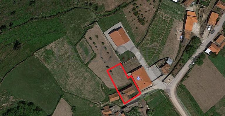 Raiz de Prédios Rústicos e Moradia · Cinfães