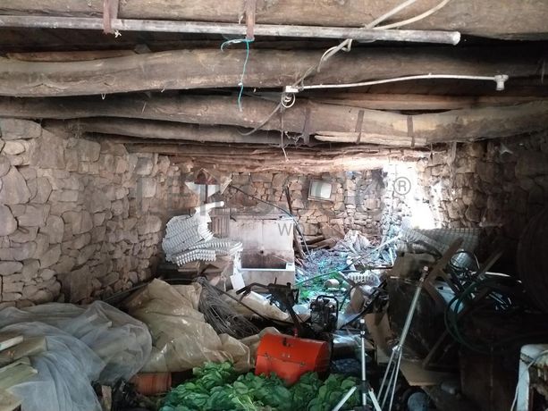 Raiz de Prédios Rústicos e Moradia · Cinfães