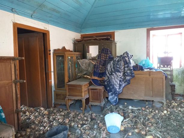 Raiz de Prédios Rústicos e Moradia · Cinfães