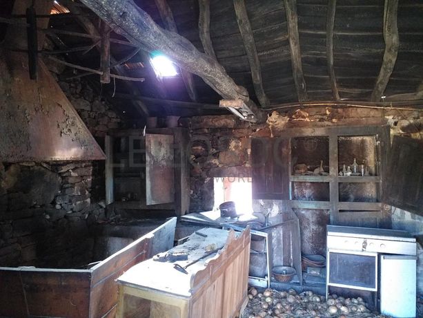 Raiz de Prédios Rústicos e Moradia · Cinfães